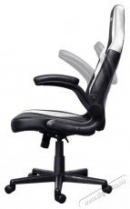 Trust GXT703W RIYE Gaming Chair, feh&eacute;r Iroda &eacute;s sz&aacute;m&iacute;t&aacute;stechnika - Egy&eacute;b sz&aacute;m&iacute;t&aacute;stechnikai term&eacute;k - 520225
