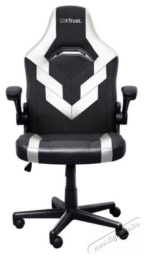 Trust GXT703W RIYE Gaming Chair, feh&eacute;r Iroda &eacute;s sz&aacute;m&iacute;t&aacute;stechnika - Egy&eacute;b sz&aacute;m&iacute;t&aacute;stechnikai term&eacute;k - 520225
