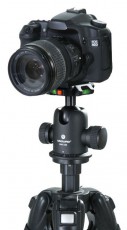 Vanguard SBH-250 gömbfej Fotó-Videó kiegészítők - Állvány kiegészítő - Állvány fej - 266051