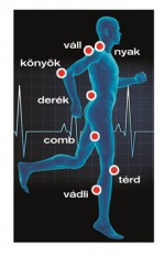 Vivamax GYVTT2 kombinált TENS és EMS készülék Szépségápolás / Egészség - Masszírozás / relaxáció - Kézi masszírozó - 427076