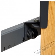 Vogels TVS 3695 B TV &aacute;llv&aacute;ny 40-77 Tv kieg&eacute;sz&iacute;tők - Fali tart&oacute; / konzol - Asztali tart&oacute; - 532394