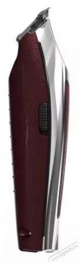 Wahl Professional Cordless Detailer LI Type 08171-016H Sz&eacute;ps&eacute;g&aacute;pol&aacute;s / Eg&eacute;szs&eacute;g - Haj&aacute;pol&aacute;s - Haj / szak&aacute;ll v&aacute;g&oacute;, ny&iacute;r&oacute; - 510754