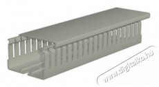 WEIDMULLER Weidmüller 2589670000 CD-BO 40X60 4/6 GY 2m/ db kábelcsatorna Egyéb - Nem forgalmazzuk ! - 404766