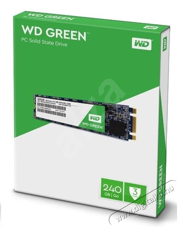 Western Digital 240GB M.2 2280 3D Green (WDS240G2G0B) SSD Egyéb - Nem forgalmazzuk ! - 337705