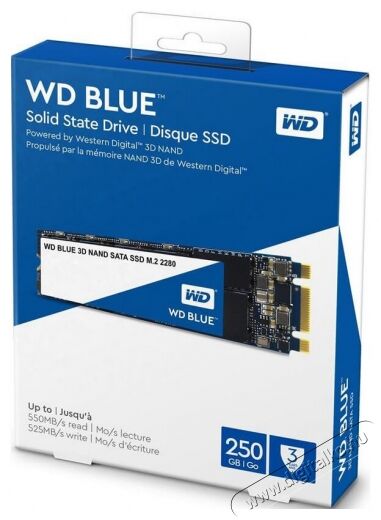 Western Digital 250GB M.2 2280 3D Blue SSD Egyéb - Nem forgalmazzuk ! - 336694