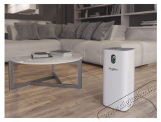 Whirlpool AP330W légtisztító Szépségápolás / Egészség - Légtisztító / párásító / párátlanító - Légtisztító - 499655