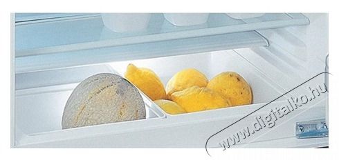 Whirlpool WBUL021 HŰTŐ BE&Eacute;P&Iacute;THETŐ EGYAJT&Oacute;S Konyhai term&eacute;kek - Hűtő, fagyaszt&oacute; (be&eacute;p&iacute;thető) - Egyajt&oacute;s hűtő - 502917