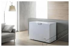 Whirlpool WHE22333 4 Konyhai termékek - Hűtő, fagyasztó (szabadonálló) - Fagyasztóláda - 504654