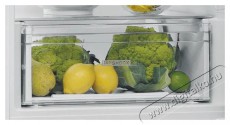 Whirlpool W5 821EF W 1 Konyhai termékek - Hűtő, fagyasztó (szabadonálló) - Alulfagyasztós kombinált hűtő - 509321