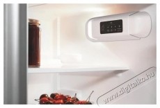 Whirlpool ART 3802 HŰTŐ BE&Eacute;P&Iacute;THETŐ FEL&Uuml;LFAGYASZT&Oacute;S Konyhai term&eacute;kek - Hűtő, fagyaszt&oacute; (be&eacute;p&iacute;thető) - Fel&uuml;lfagyaszt&oacute;s kombin&aacute;lt hűtő - 499538