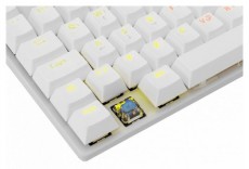 White Shark COMMANDOS GK-2106W/BL-HU fehér mechanikus magyar (blue switch) gamer billentyűzet Iroda és számítástechnika - Billentyűzet / billentyűzet szett - Vezetékes - 455877