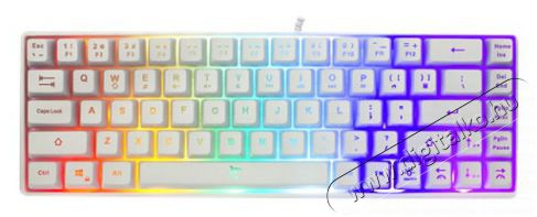 White Shark GK-2201W-HU RONIN-W fehér gamer billentyűzet Iroda és számítástechnika - Billentyűzet / billentyűzet szett - Vezetékes - 459089