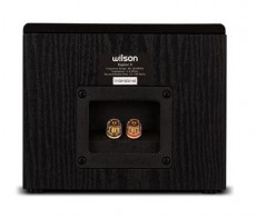 Wilson Raptor X fali hangsugárzó - fekete Újdonságok - Új termékek - 355422
