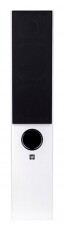 Wilson RAPTOR 5 WHITE Újdonságok - Új termékek - 341801
