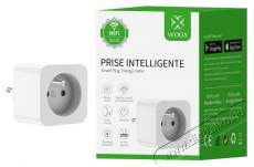  R6128 Smart Plug 16A FR Type E with Energy Monitor H&aacute;ztart&aacute;s / Otthon / K&uuml;lt&eacute;r - Okos otthon - Okos konnektor - 520416