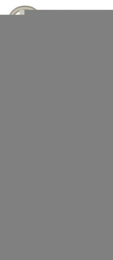 Xiaomi POWER BANK 10000MAH TAN (BHR9072GL) POWER BANK Mobil / Kommunik&aacute;ci&oacute; / Smart - Powerbank / K&uuml;lső akkumul&aacute;tor &eacute;s t&ouml;ltő - 511613