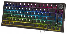 Yenkee YKB 30 ODYSSEY Hotswap keyboard Iroda és számítástechnika - Billentyűzet / billentyűzet szett - Vezeték nélküli - 493411